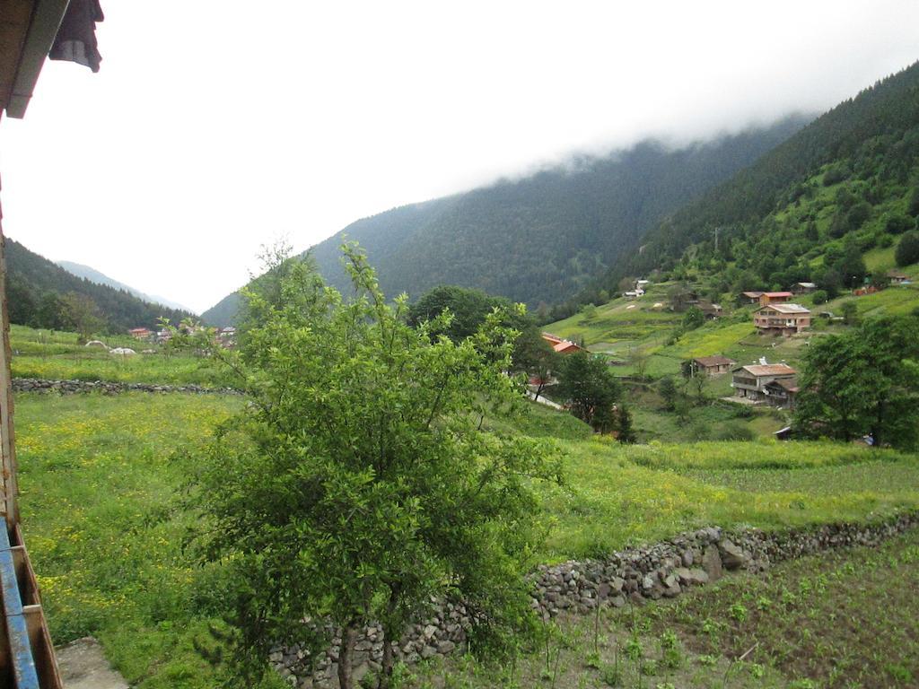 Zeren Pansiyon Kamalac Esterno foto